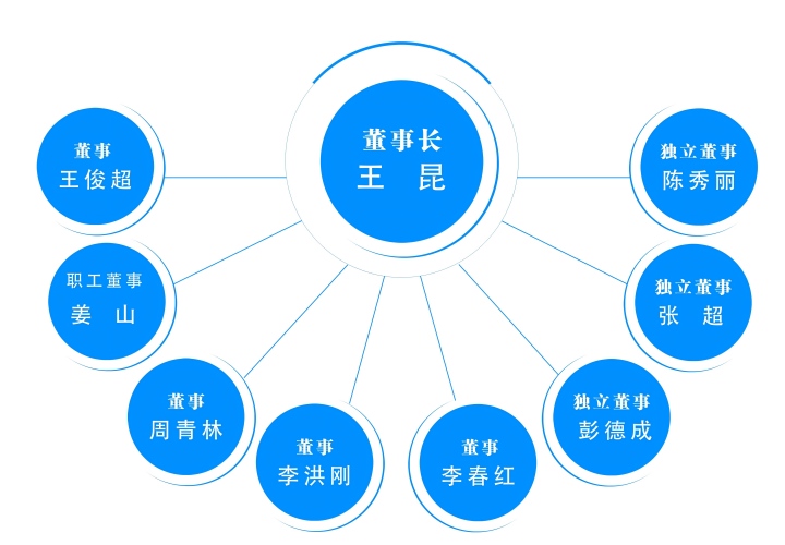 公司董事结构-2025(1).jpg